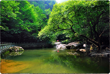 乡村产业振兴