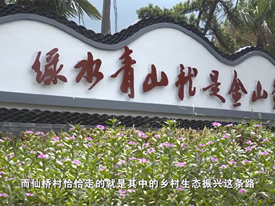 绿色发展——上海市崇明...