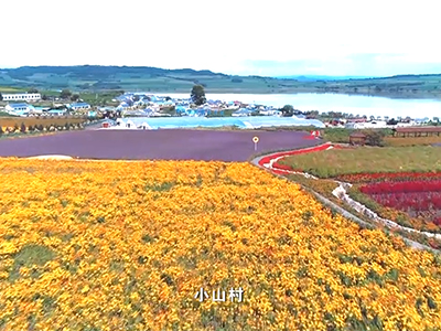 生态为王——吉林省敦化...