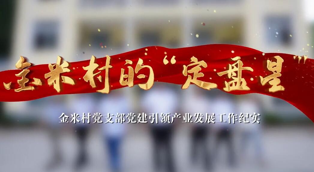 金米村的“定盘星”