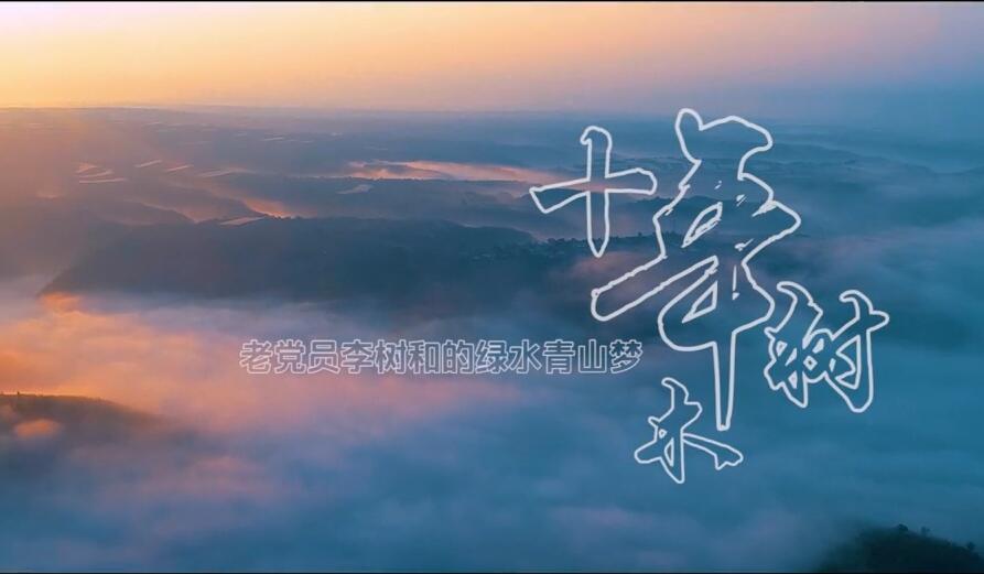 十年树木
