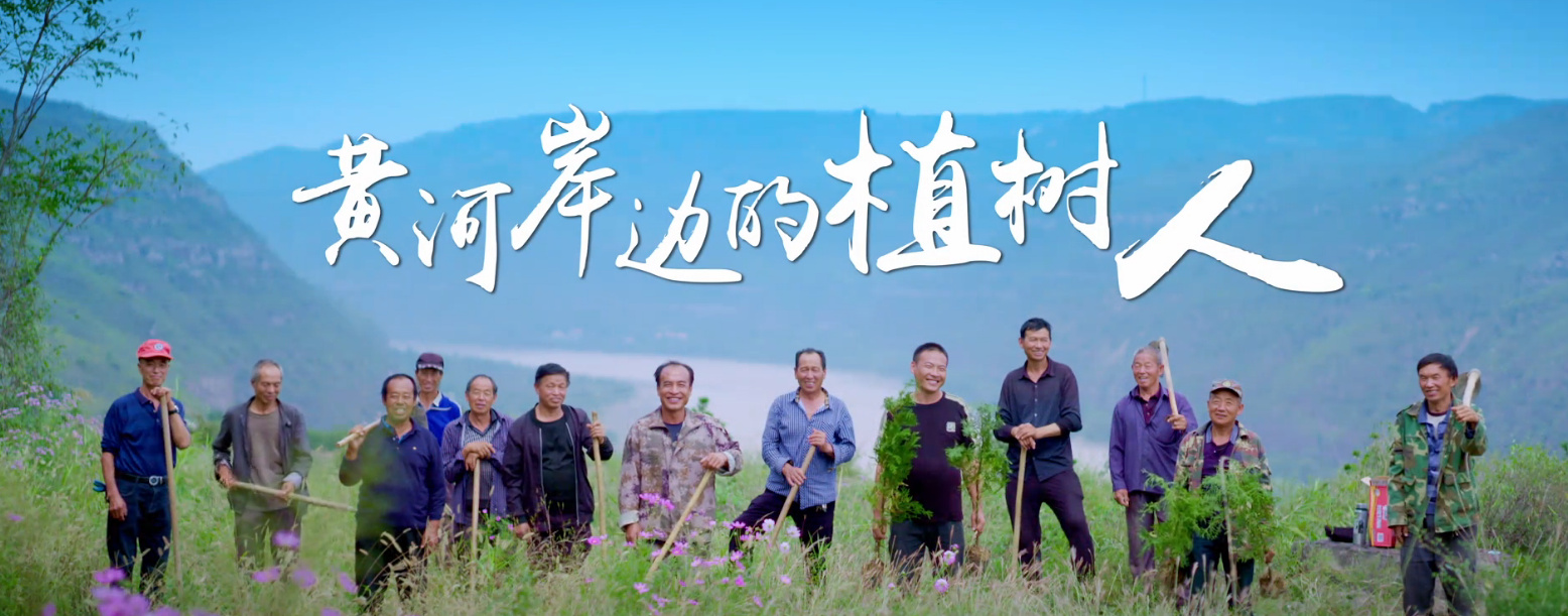 黄河岸边的植树人