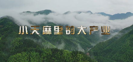 小天麻里的大产业