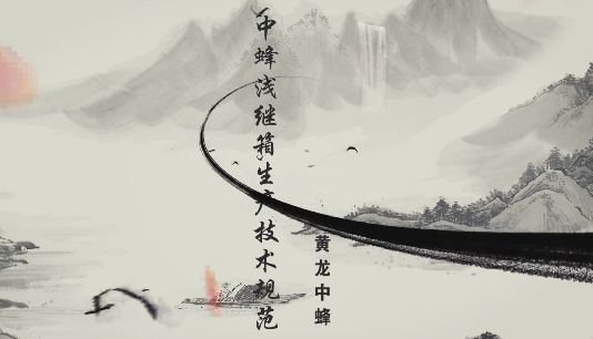黄龙中蜂浅继箱生产技术...13
