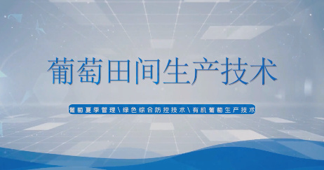 农业小课堂——葡萄田间...15