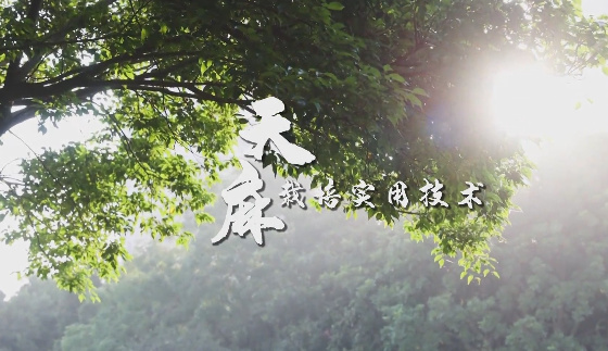 天麻栽培实用技术8