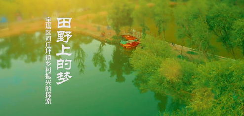 田野上的梦