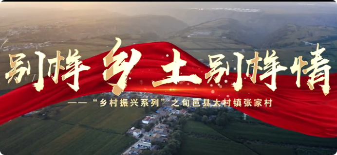 别样乡土别样情