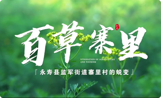 百草寨里