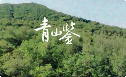 青山鉴