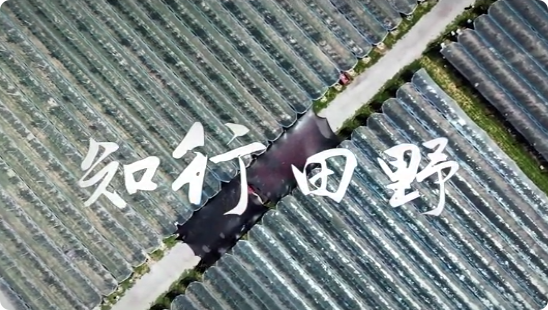 知行田野