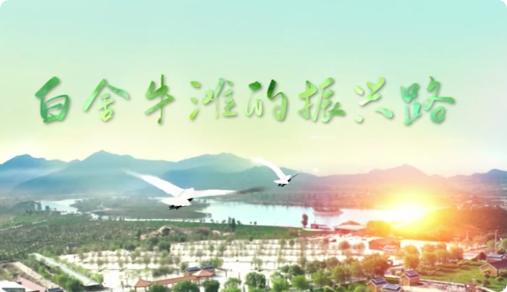 白舍牛滩的振兴路