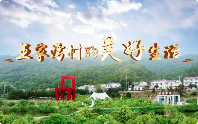 王家湾村的美好生活