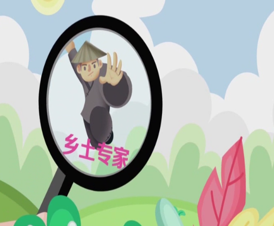 大豆田里养豆丹