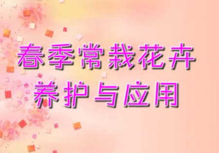 春季常栽花卉养护与应用