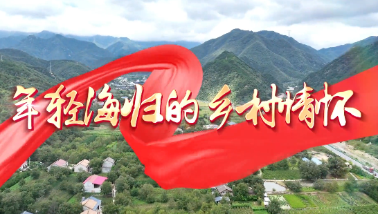 年轻海归的乡村情怀