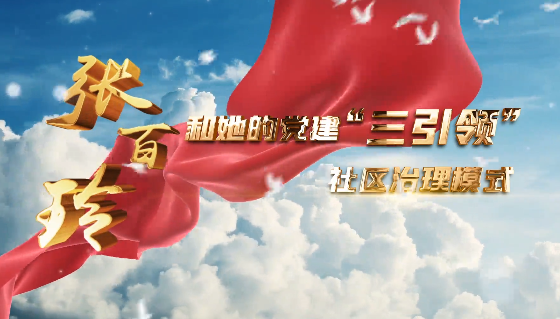 张百玲和她的党建“三引...