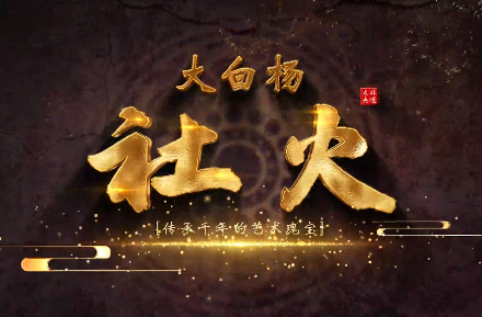 大白杨社火