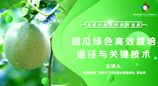 甜瓜绿色高效栽培途径与...