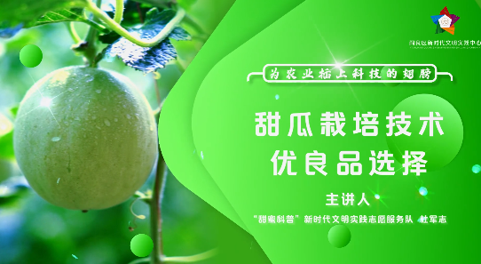 甜瓜栽培技术优良品种选择
