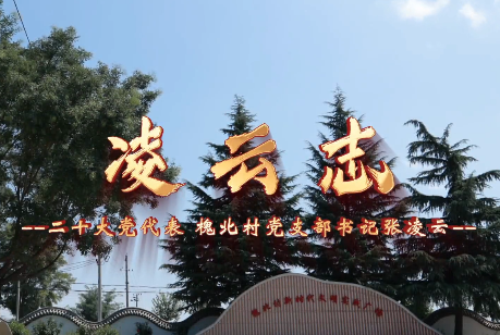凌云志