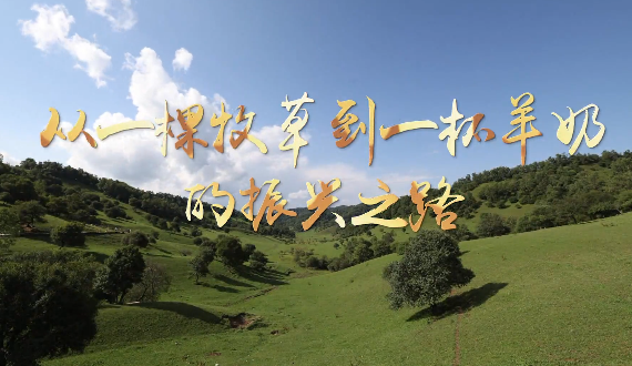 从一棵牧草到一杯羊奶的...