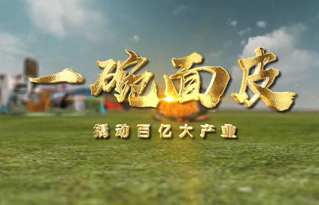 一碗面皮撬动大产业——...