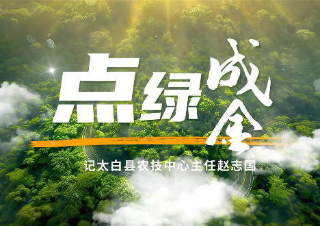 点绿成金