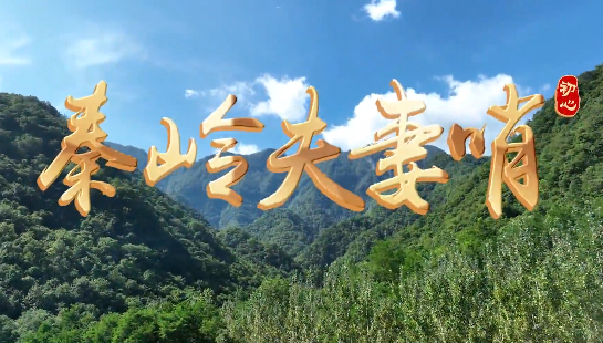 秦岭夫妻哨