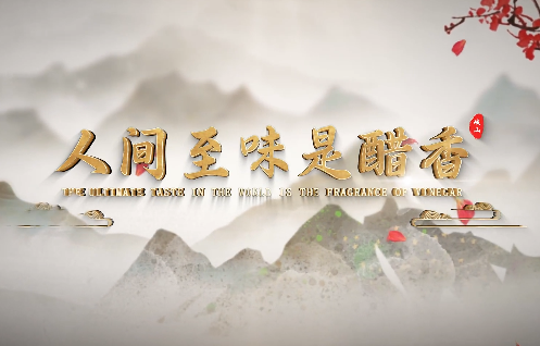 人间至味是醋香