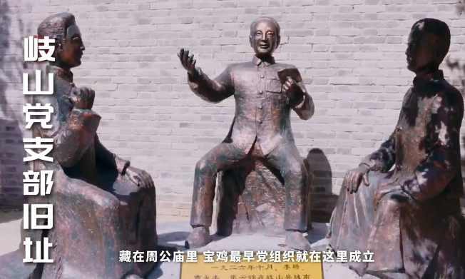 红色宝鸡