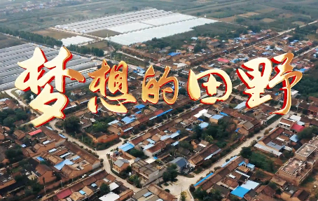 梦想的田野