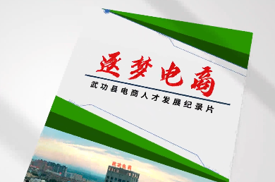 逐梦电商
