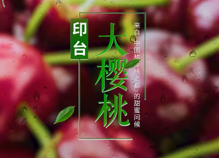 印台大樱桃