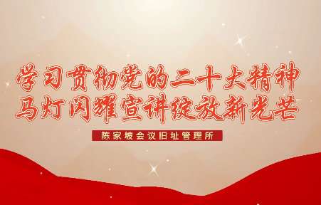 妇女游击队