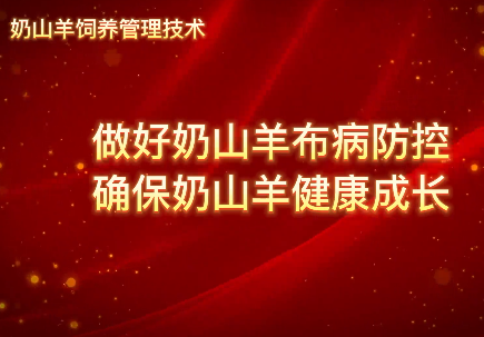做好奶山羊布病防控 确...