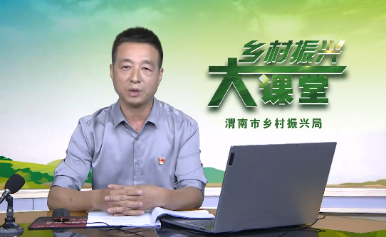 乡村振兴驻村帮扶工作文...
