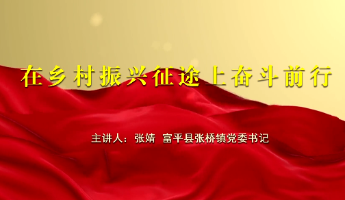 在乡村振兴征途上奋斗前行