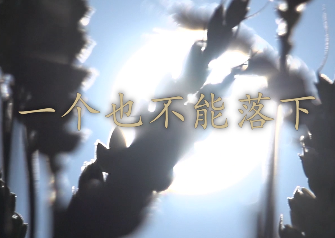 一个也不能落下