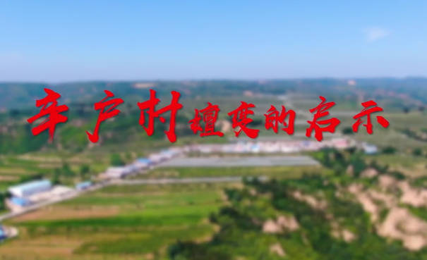 辛户村嬗变的启示