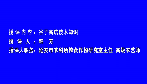 谷子高培技术培训