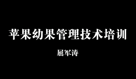 苹果幼果管理技术培训