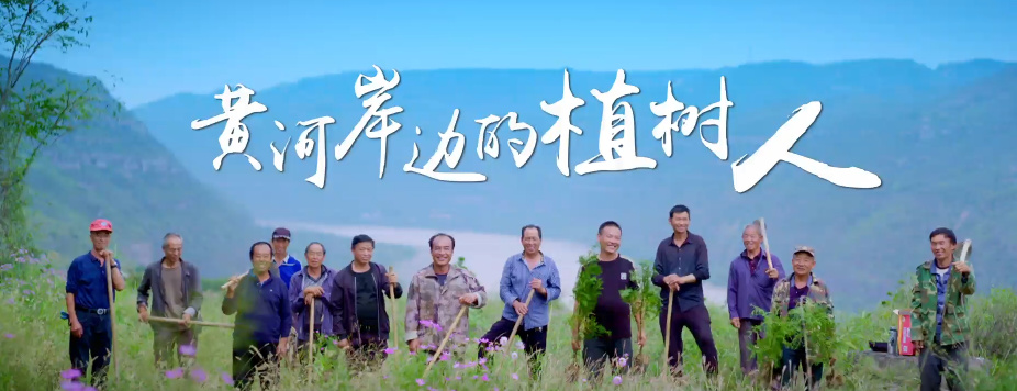 黄河岸边的植树人