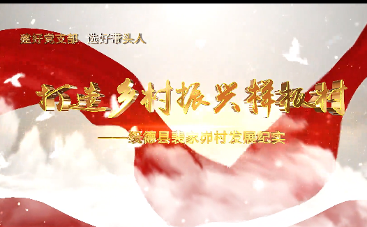 打造乡村振兴样板村