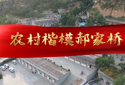 农村楷模郝家桥