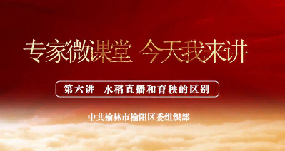 水稻直播和育秧的区别