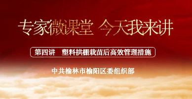 塑料拱棚栽苗后高效管理...
