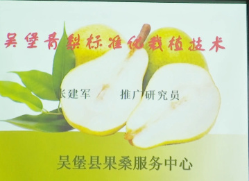 吴堡青梨标准化栽植技术...