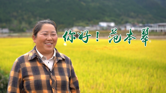 你好！范本翠