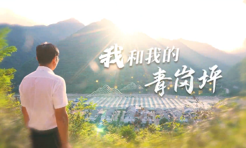 我和我的青岗坪
